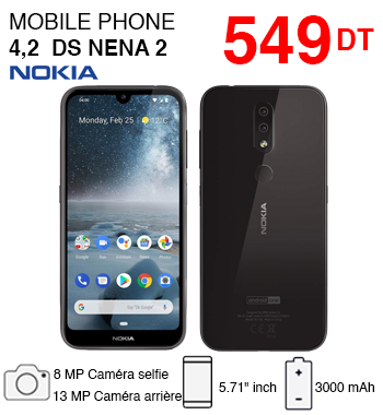 nokia-4.2